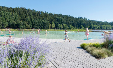 camping Le Lac des Sapins